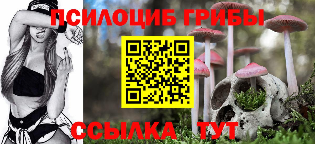 Самара  Галлюциногенные грибы Psilocybine cubensis  Вход с VPN 