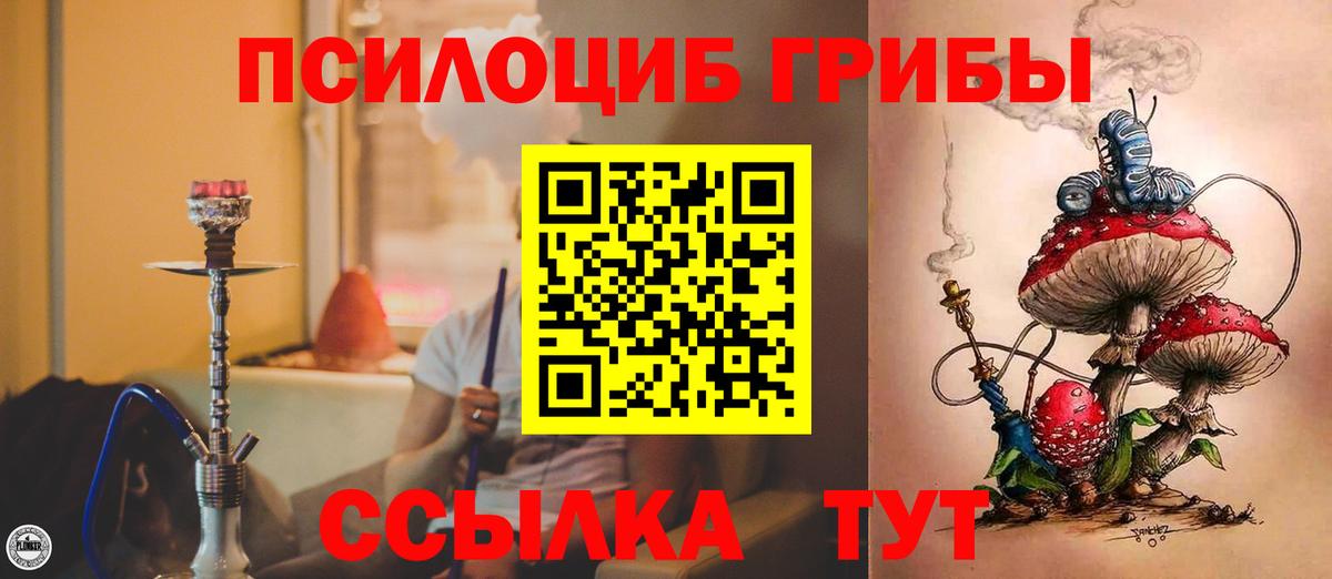 Галлюциногенные грибы Cubensis Самара